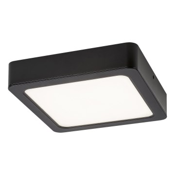 Rabalux - LED Stropné svietidlo LED/24W/230V 3000K 22x22 cm čierna