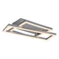 Rabalux - LED stropné svietidlo LED/24W/230V 3000K 22x37 cm