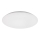 Rabalux - LED stropné svietidlo LED/24W/230V 4000K pr. 38 cm