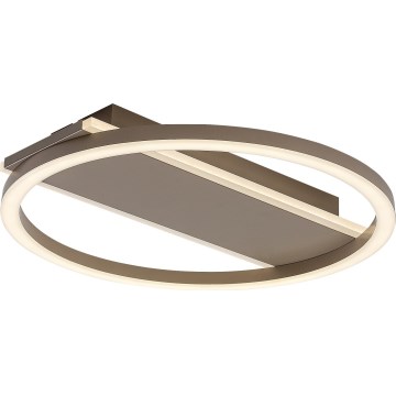Rabalux - LED stropné svietidlo LED/24W/230V pr. 33 cm