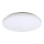 Rabalux - LED Stropné svietidlo LED/32W/230V pr. 38 cm