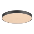 Rabalux - LED stropné svietidlo LED/36W/230V pr. 40 cm čierne