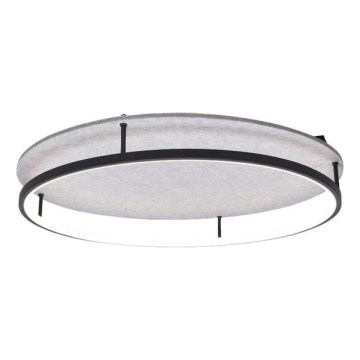 Rabalux - LED Stropné svietidlo LED/40W/230V 3000/4000K
