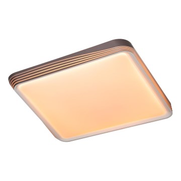 Rabalux - LED Stropné svietidlo LED/40W/230V 3000K