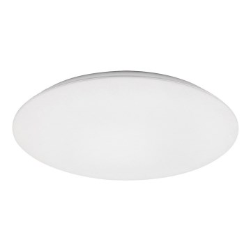 Rabalux - LED Stropné svietidlo LED/45W/230V 4000K 48 cm