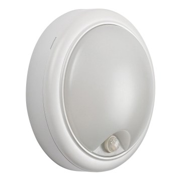 Rabalux - LED Vonkajšie nástenné svietidlo so senzorom LED/15W/230V IP54