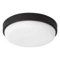 Rabalux - LED Vonkajšie stropné svietidlo LED/14W/230V IP54 čierne