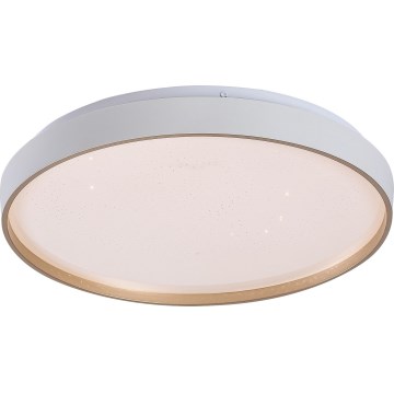 Rabalux - stlmiteľné LED stropné svietidlo LED/34W/230V 3000-6500K pr. 38 cm + diaľkové ovládanie