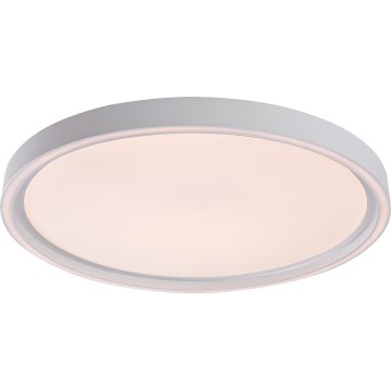 Rabalux - Stmievateľné LED stropné svietidlo LED/31W/230V IP40 3000-6500K pr. 41,5 cm + diaľkové ovládanie
