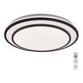 Rabalux - stmievateľné LED stropné svietidlo LED/40W/230V 3000-6500K čierne, priemer 49 cm + diaľkové ovládanie