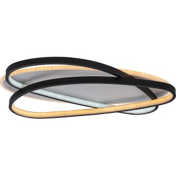 Rabalux - Stmievateľné LED stropné svietidlo LED/57W/230V 3000-6000K 53x38 cm + diaľkové ovládanie