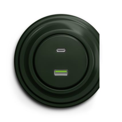 Reblig - Retro USB zásuvka A+C bez rámčeka zelená