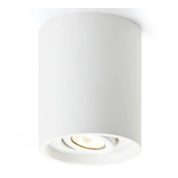 RED - Design Rendl - R10454 - Bodové svietidlo COLES 1xGU10/50W/230V