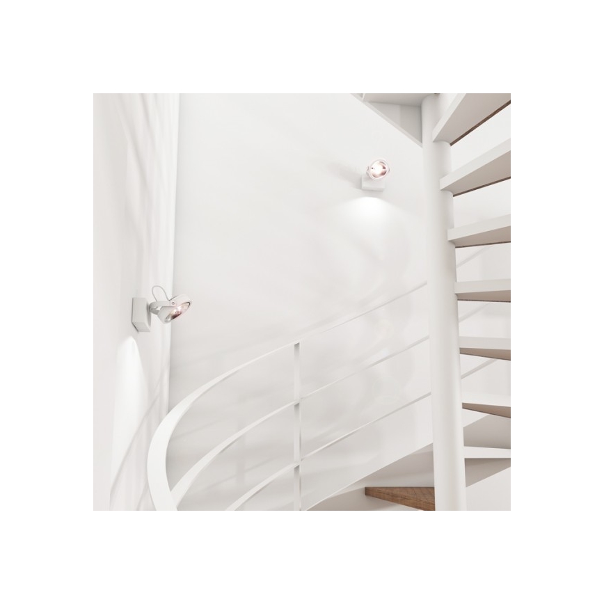 RED - Design Rendl - R12332 - LED Nástenné bodové svietidlo KELLY LED/12W/230V