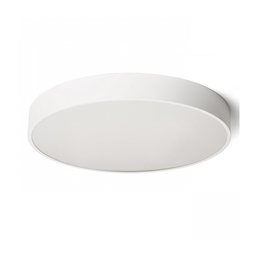 RED - Design Rendl - R13334 - LED Stropné svietidlo MEZZO LED/100W/230V biela