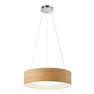 Redo 01-1358 - LED Luster na lanku MADEIRA 1xLED/35W/230V Redo 01-1358 - LED Luster na lanku MADEIRA 1xLED/35W/230V