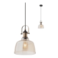 Redo 01-1383 - Luster na lanku LARRY 1xE27/42W/230V