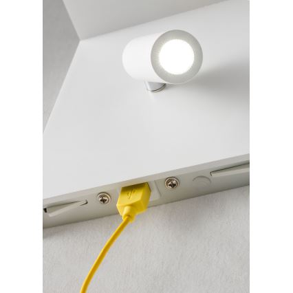 Redo 01-1499 - LED Nástenné bodové svietidlo AGOS LED/6W/230V + LED/3,2W USB biela