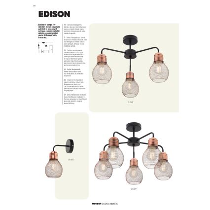 Redo 01-1575 - Nástenné svietidlo EDISON 1xE27/42W/230V