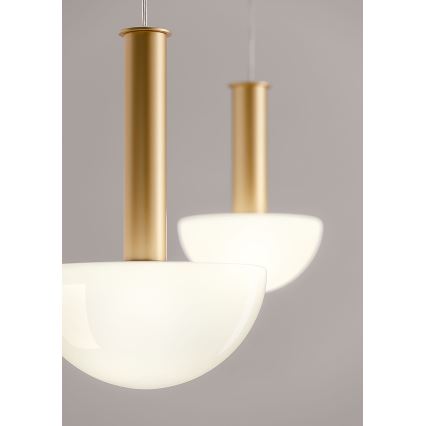 Redo 01-2474 - Luster na lanku LUMIEN 1xG9/10W/230V pr. 13 cm zlatá/biela