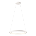 Redo 01-2672 - LED stmievateľný luster na lanku ICONIC LED/50W/230V pr. 58 cm biela