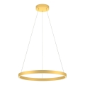 Redo 01-2865 - LED Stmievateľný luster na lanku FEBE LED/37W/230V zlatá
