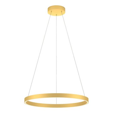 Redo 01-2865 - LED stmievateľný luster na lanku FEBE LED/37W/230V zlatý