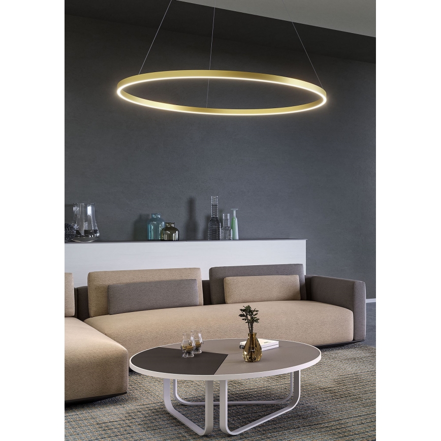 Redo 01-2889 - LED Stmievateľný luster na lanku FEBE LED/62W/230V zlatý