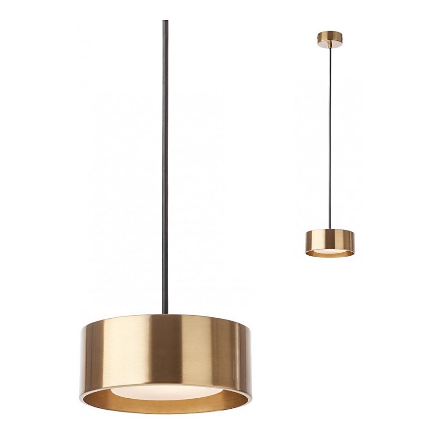 Redo 01-3100 - LED luster na lanku PUNKT LED/6W/230V pr. 15 cm mosadz