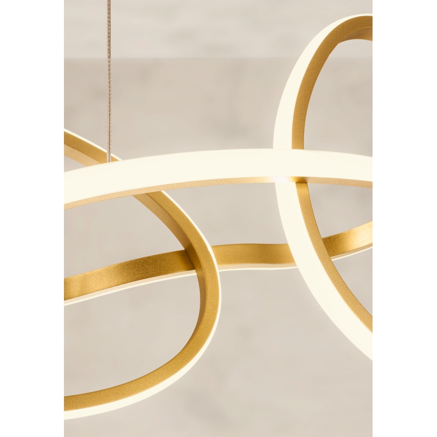 Redo 01-3389 - LED stmievateľný luster na lanku BIAS LED/90W/230V 3000/4500/6500K CRI 90 zlatý