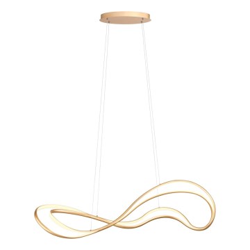 Redo 01-3598 - LED stmievateľný luster na lanku TEMPEST LED/58W/230V zlatý