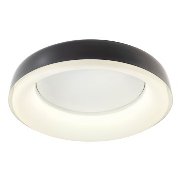 Redo 01-3724 - LED Stropné svietidlo DIP LED/40W/230V 2700/3000/4000/5000/6500K CRI 90 pr. 62,4 cm čierne