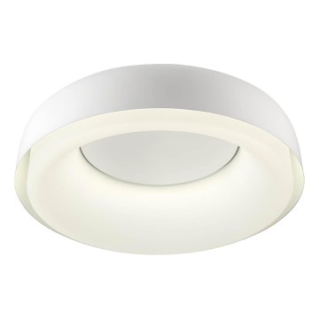 Redo 01-3940 - LED stropné svietidlo DIP LED/30W/230V 2700/3000/4000/5000/6500K CRI 90 priemer 48,6 cm biela