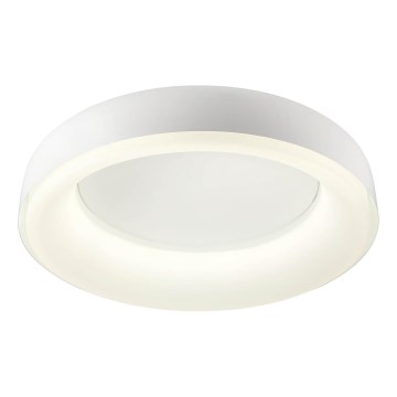 Redo 01-3941 - LED stropné svietidlo DIP LED/40W/230V 2700/3000/4000/5000/6500K CRI 90, priemer 62,4 cm, biela