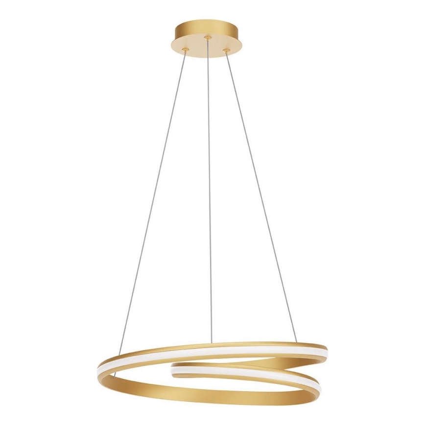 Redo 01-4361 - LED stmievateľný luster na lane TORSION LED/40W/230V 2700/3000/4000K CRI 90 pr. 56 cm zlatá