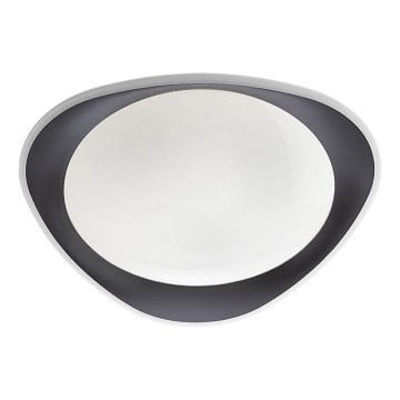 Redo 05-922 - LED Stropné svietidlo VERENA LED/24W/230V antracit