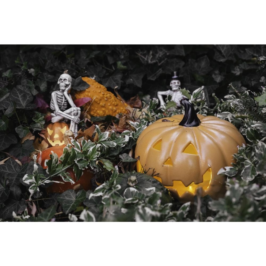 LED Dekorácia HALLOWEEN LED/2xLR44/teplá biela kostlivec v tekvici živica