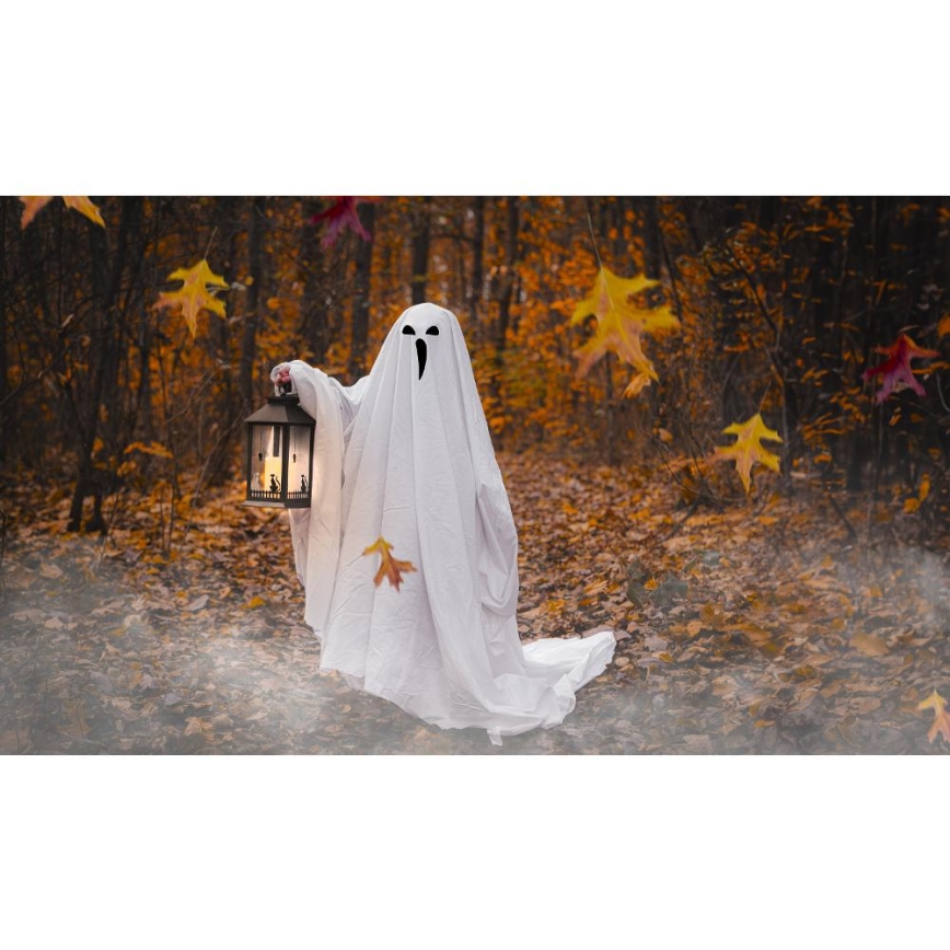 LED Dekorácia HALLOWEEN LED/3xAAA/teplá biela lucerna