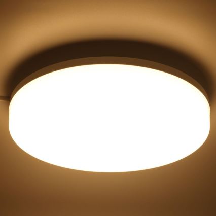 LED RGBW Stmievateľné kúpeľňové stropné svietidlo LED/20W/230V Wi-Fi IP44 biela
