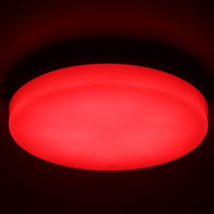 LED RGBW Stmievateľné kúpeľňové stropné svietidlo LED/20W/230V Wi-Fi IP44 biela