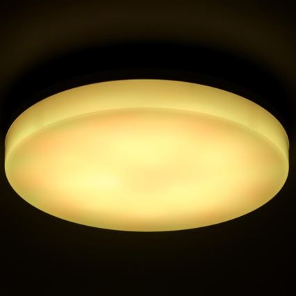 LED RGBW Stmievateľné kúpeľňové stropné svietidlo LED/20W/230V Wi-Fi IP44 biela