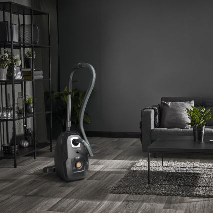 Rowenta - Sáčkový vysávač ZELENÁ FORCE EFFITECH ECO TOTAL CLEAN 400W/230V čierna