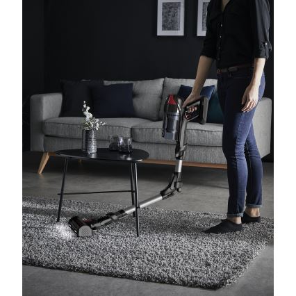 Rowenta - Tyčový vysávač X-FORCE FLEX ANIMAL CARE 320W/25,2V čierna 2000 mAh