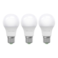 SADA 3x LED Žiarovka ECOLINE A60 E27/15W/230V 4000K - Brilagi