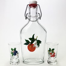Sada vector - 1x veľká fľaša + 2x pohár na panáky číra s motívom ovocia