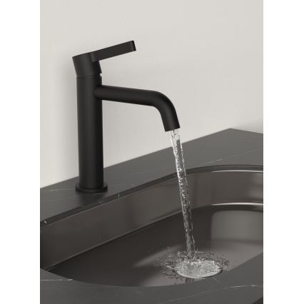 Sapho - Umývadlová batéria ICONIC 18,7 cm matná čierna