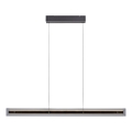 Schöner Wohnen 11316-18 - LED stmievateľný závesný luster na lanku LENA LED/32W/230V 105 cm čierny