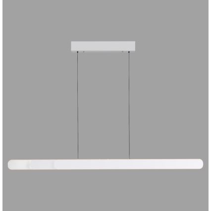 Schöner Wohnen 12577-16 - LED stmievateľný luster na lanku ADRIANA ROUND 2xLED/24W/230V 2700/3000/3500/4000/5000K 160 cm biela