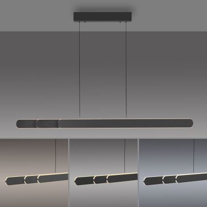 Schöner Wohnen 12577-18 - LED stmievateľné závesné svietidlo na lanku ADRIANA ROUND 2xLED/24W/230V 2700/3000/3500/4000/5000K čierne