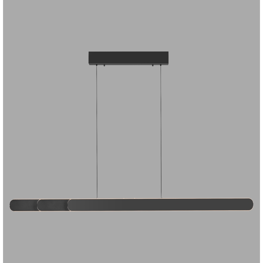 Schöner Wohnen 12577-18 - LED stmievateľné závesné svietidlo na lanku ADRIANA ROUND 2xLED/24W/230V 2700/3000/3500/4000/5000K čierne